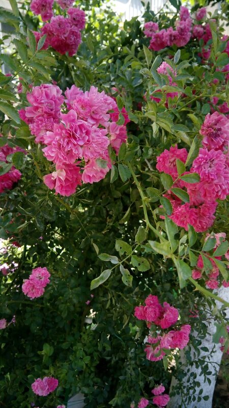 ,,, - Сергей Тимоновский