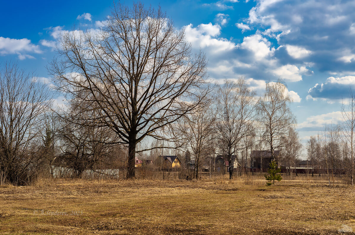 Мартовский пейзаж - Александр Синдерёв