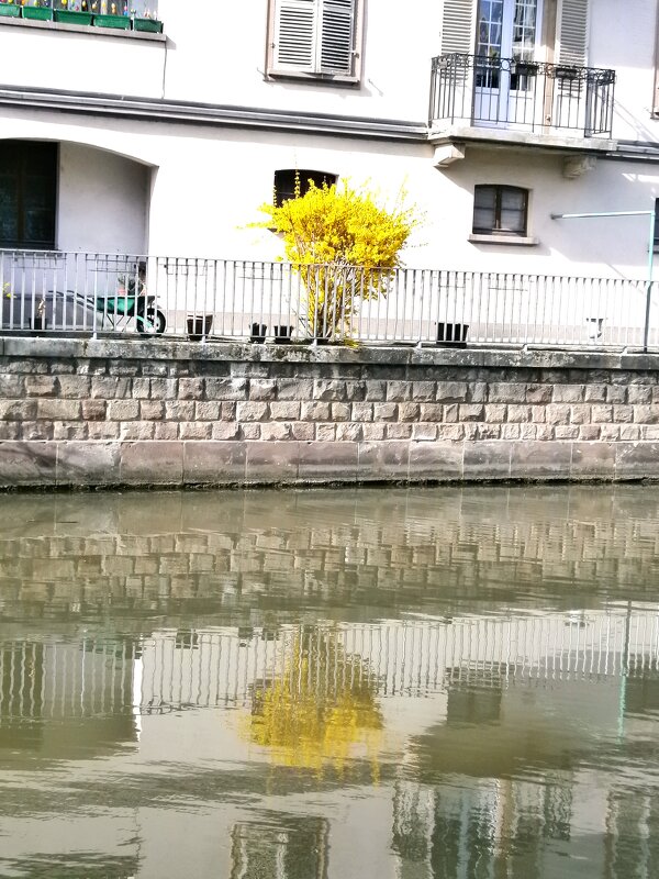 Весна..... - Алёна Савина