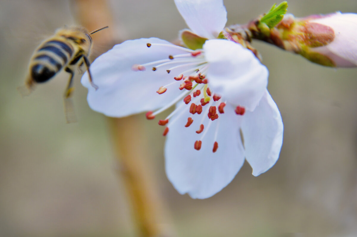 " ...дело сделано - всё выпито ...и...съедено..." - Надежда Куркина