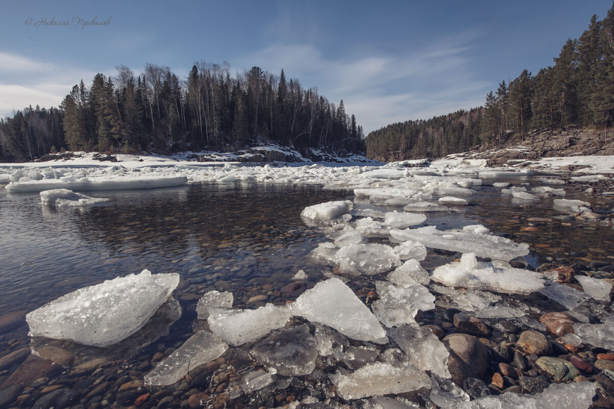 Весна на Казыре. - Николай Привалов