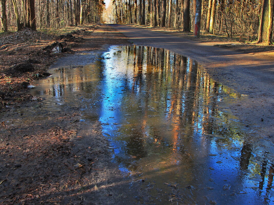 Весне дорогу - Тамара Вебер