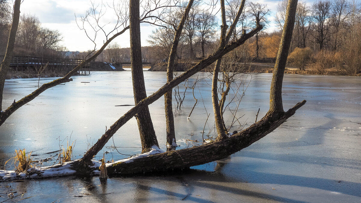 ***** - юрий поляков ***** - юрий поляков