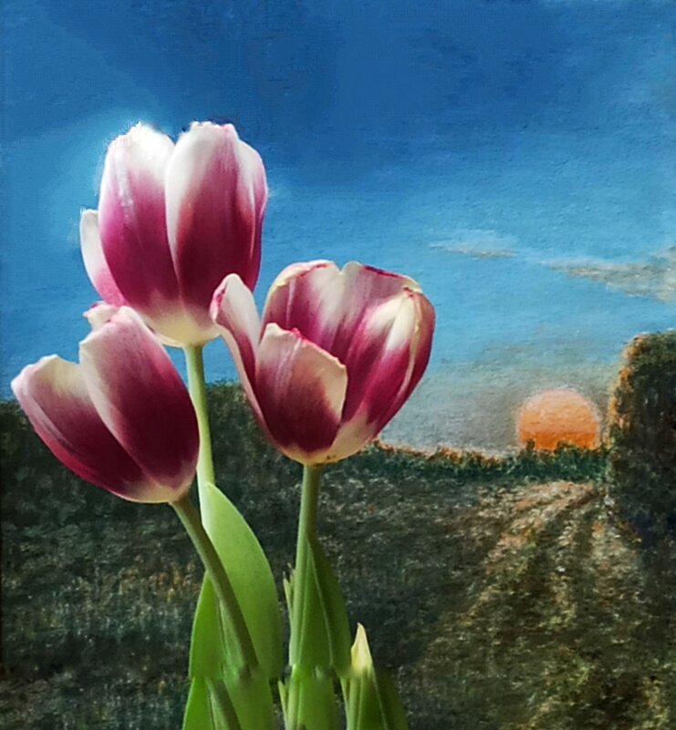 На закате - veilins veilins На закате - veilins veilins