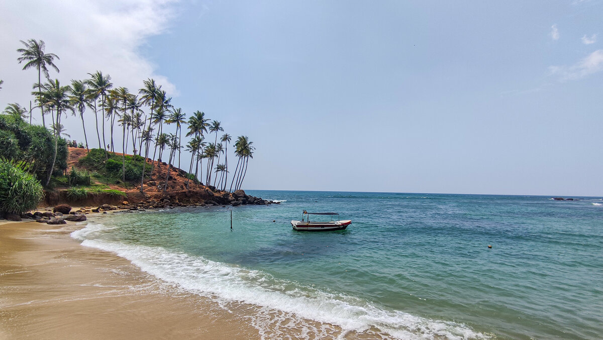 * - Dmitry i Mary S * - Dmitry i Mary S