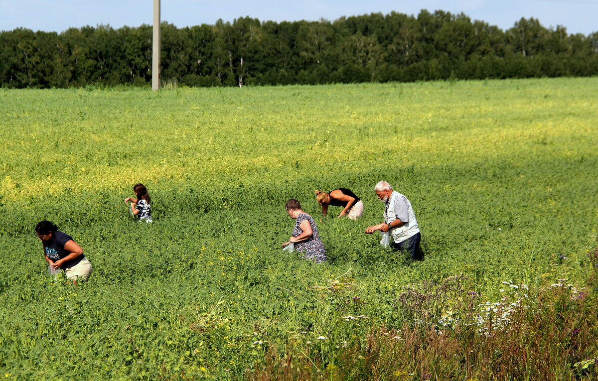 ** - Vlad Сергиевич