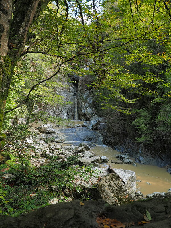 Прогулка по Агурскому ущелью. - Евгений Седов Прогулка по Агурскому ущелью. - Евгений Седов