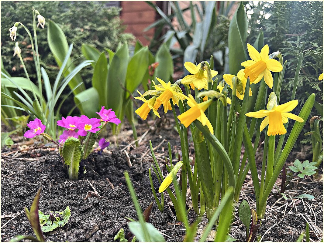 Мартовское. - Валерия Комова Мартовское. - Валерия Комова