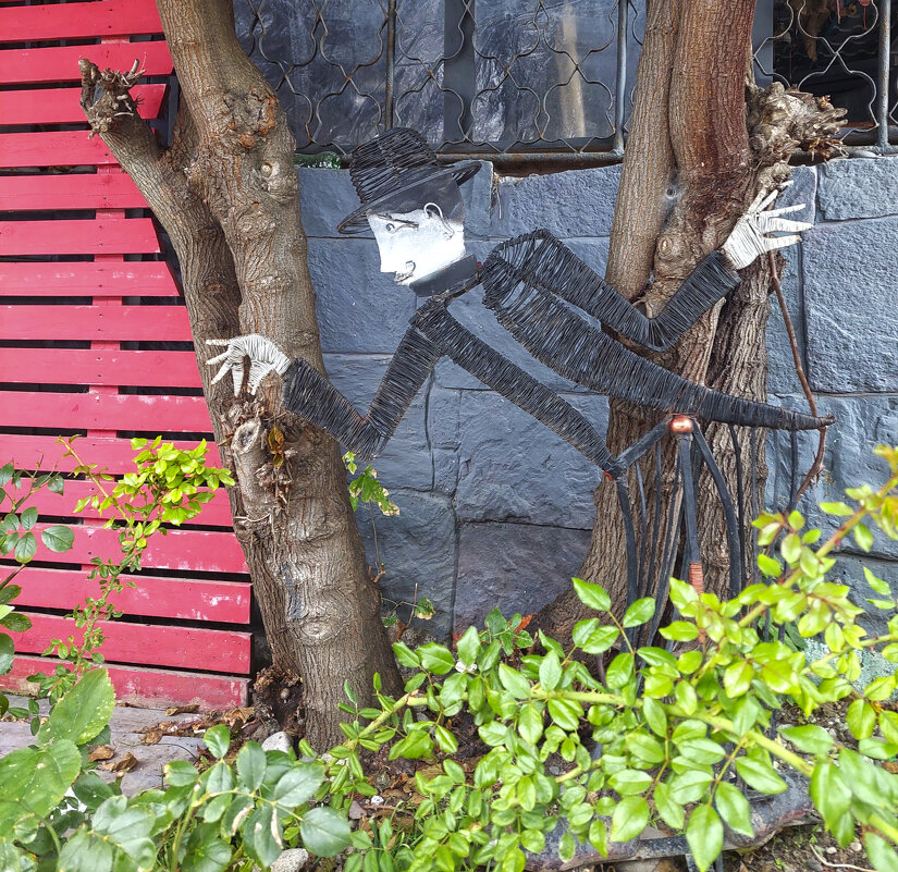 Кавалер - ИРЭН@ . Кавалер - ИРЭН@ .