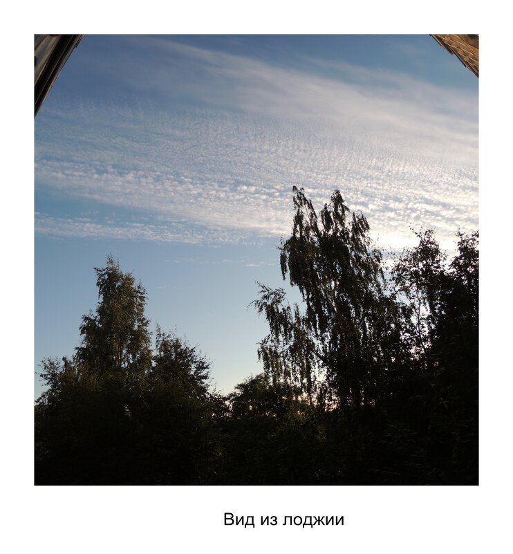 Вил из лоджии - Николай ntv