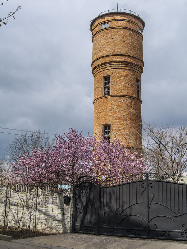 Старая башня & какая-то цветущая хрень - Коля Лукашов Старая башня & какая-то цветущая хрень - Коля Лукашов