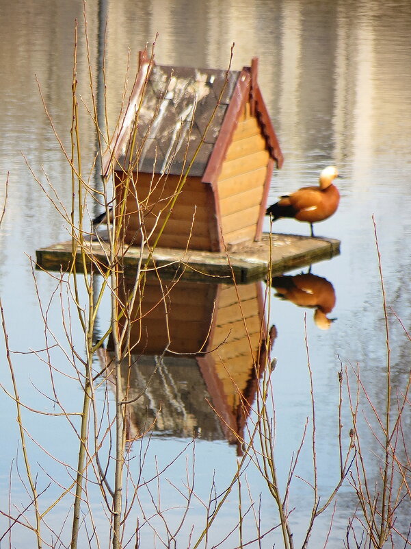Лед сошел. Огарм в кайф. - Александр Чеботарь