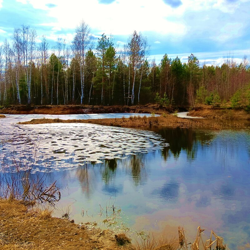 сюжет - Владимир сюжет - Владимир
