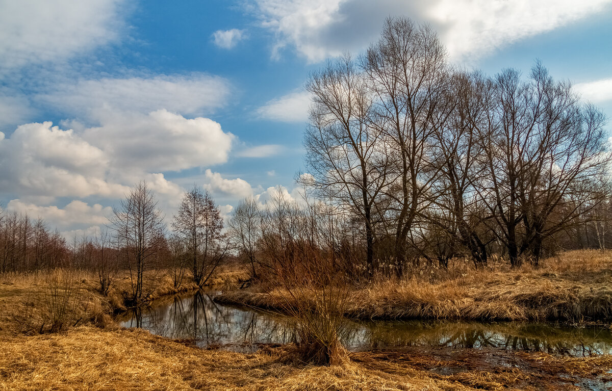 Весна набирает обороты 4 - Андрей Дворников Весна набирает обороты 4 - Андрей Дворников