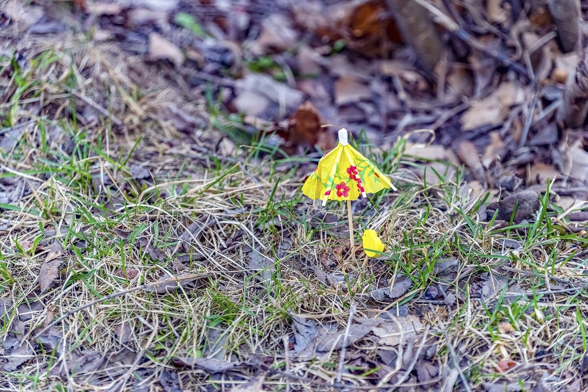 Вспомнить отпуск - Валерий Иванович Вспомнить отпуск - Валерий Иванович