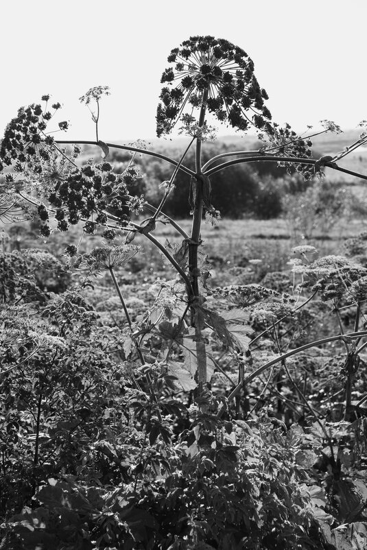 Название отсутствует - Денис Безногов