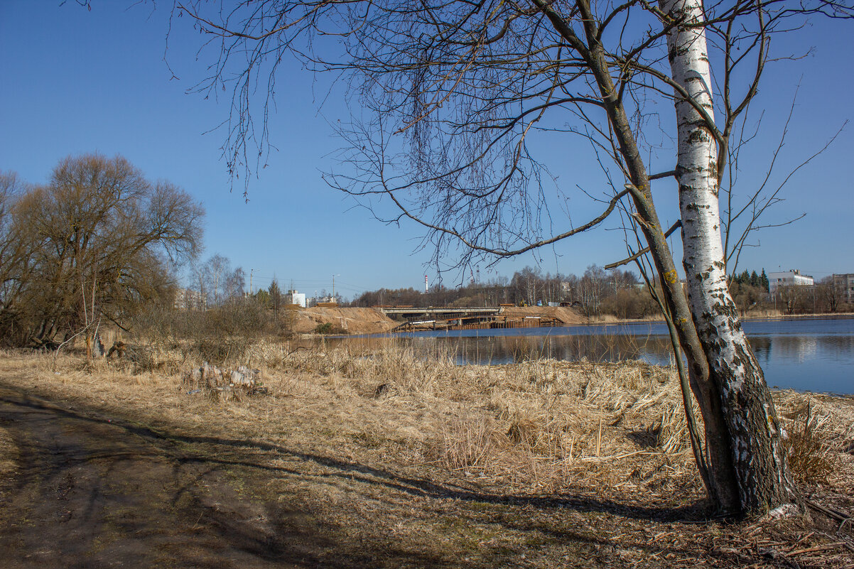 Что-то белая берёзка прошептала... - Михаил "Skipper" Что-то белая берёзка прошептала... - Михаил "Skipper"