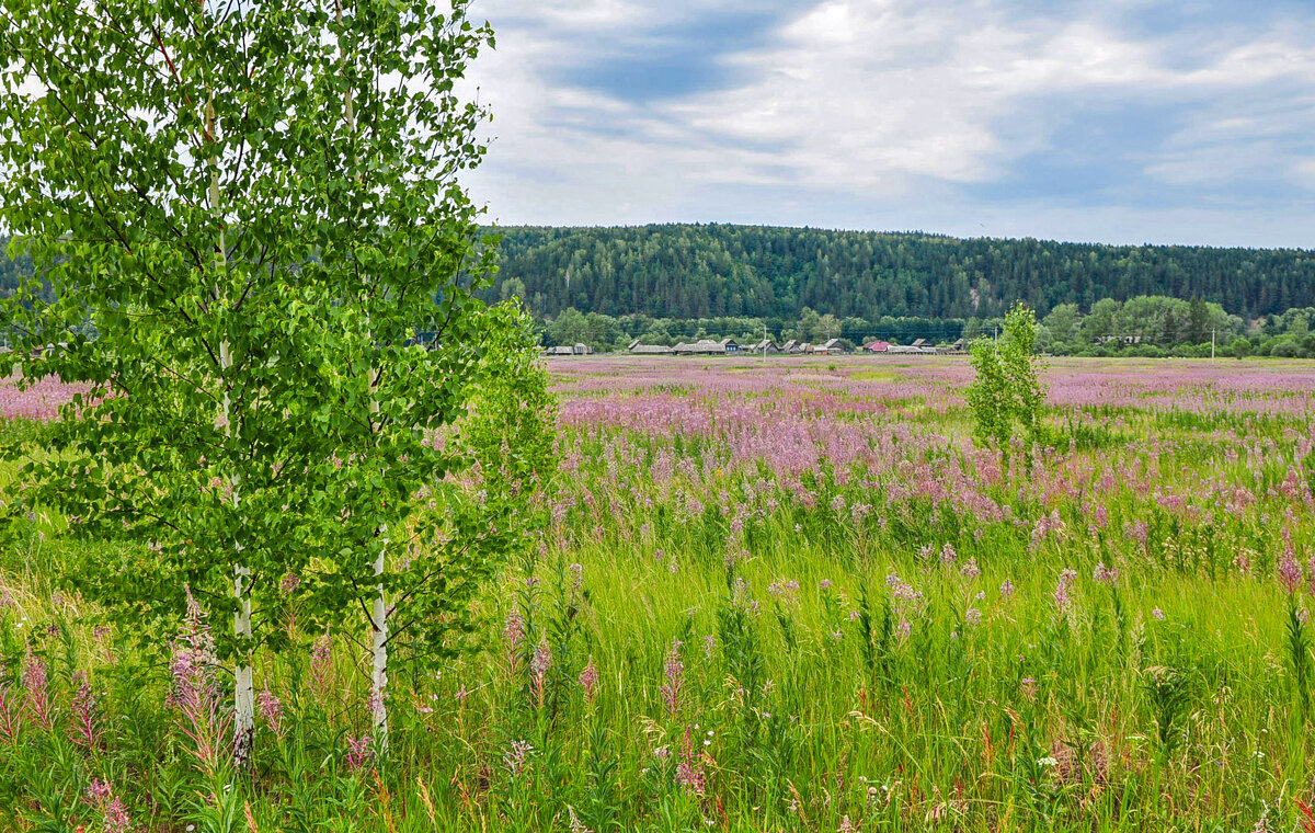 Деревня Чириково - **** vedin