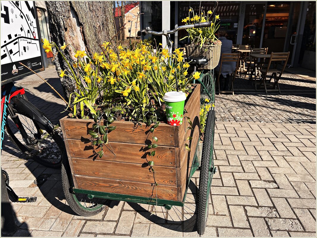 Весна в Светлогорске. - Валерия Комова