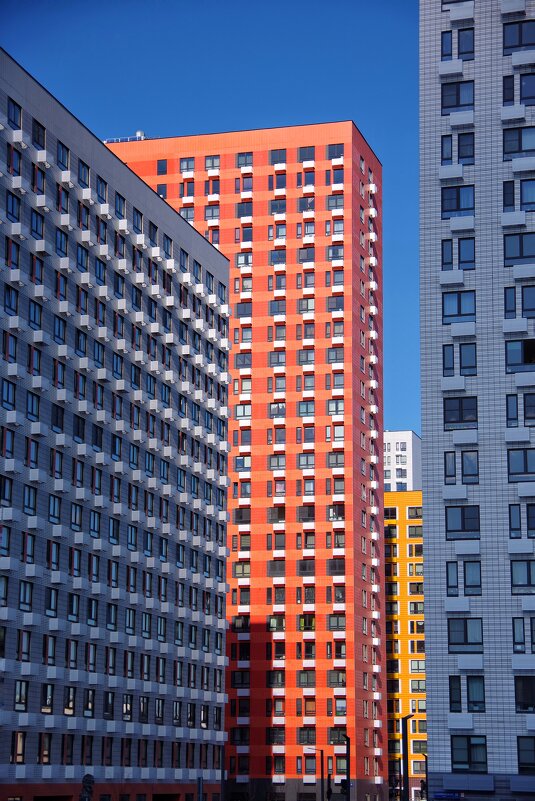 " Городские джунгли " - Руслан 