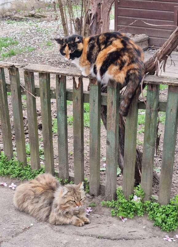 Весенние посиделки - Наталья Весенние посиделки - Наталья