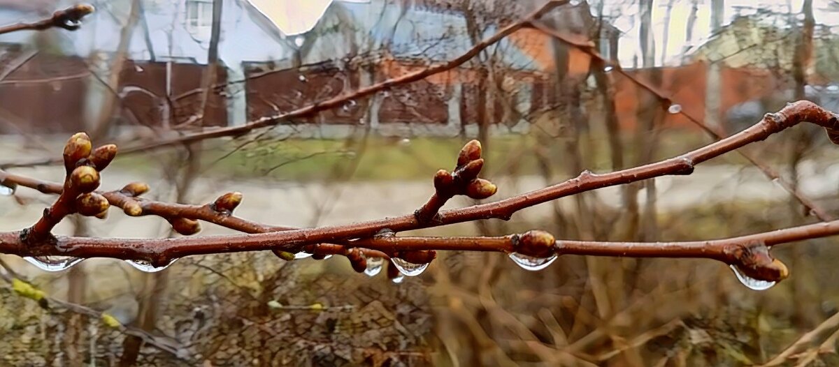 Апрель капель - Михаил Столяров