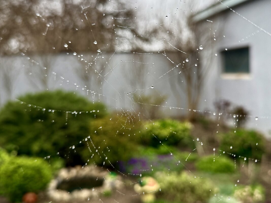 Паутинка - Валентина .