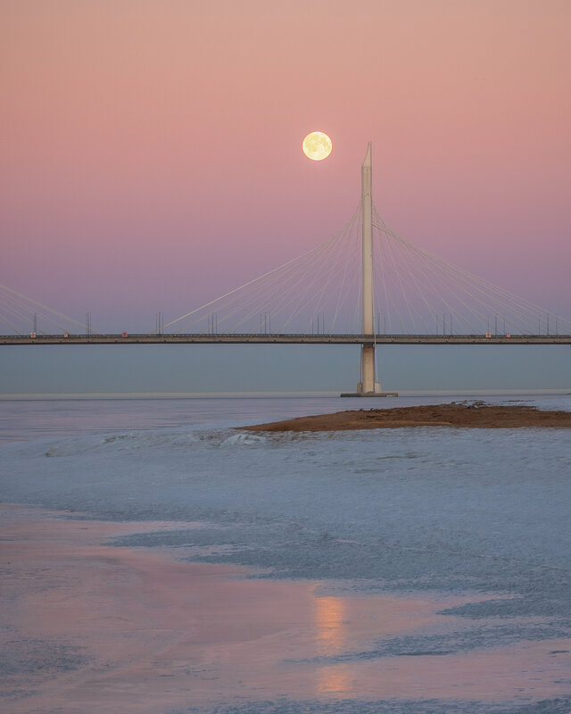 **** - Елизавета .