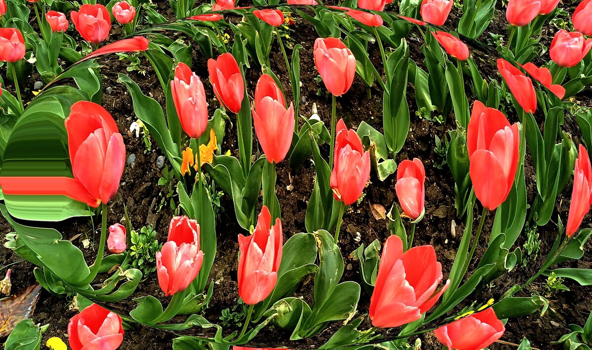 Весна - Сергей Алексеевич Митянин