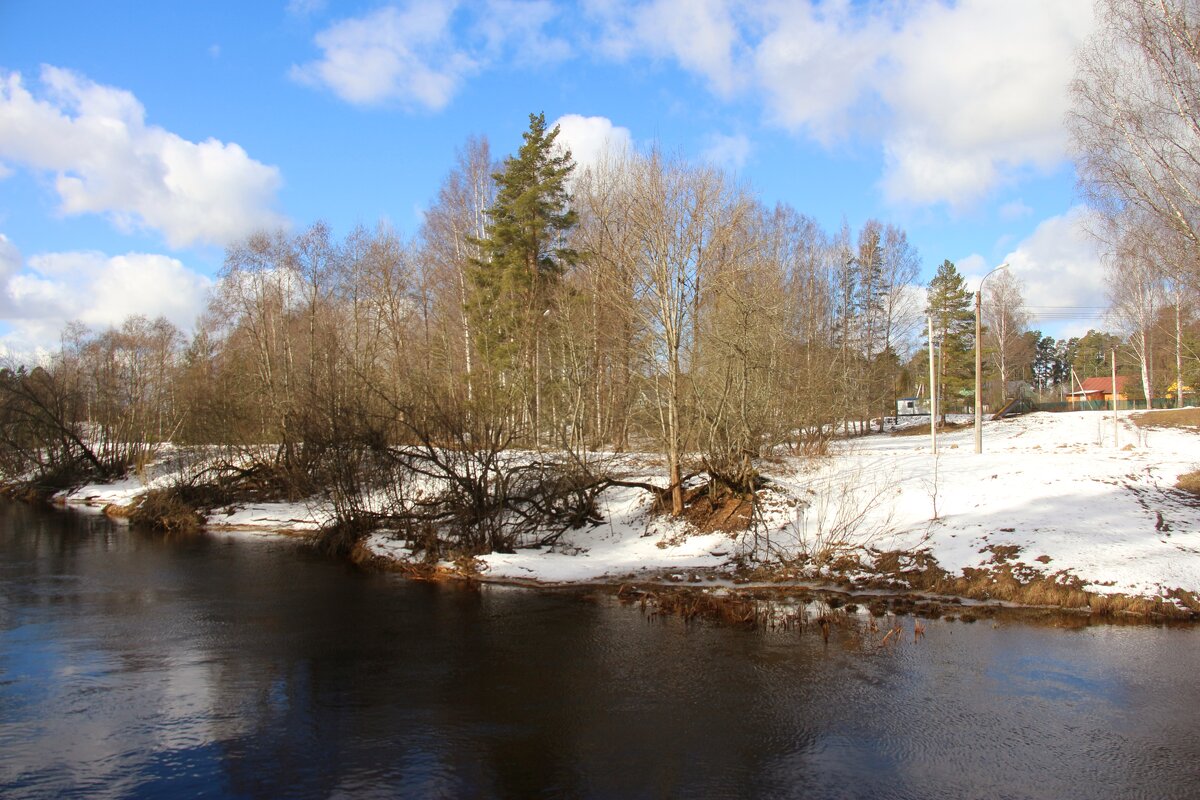 Вырица - Наталья Герасимова Вырица - Наталья Герасимова