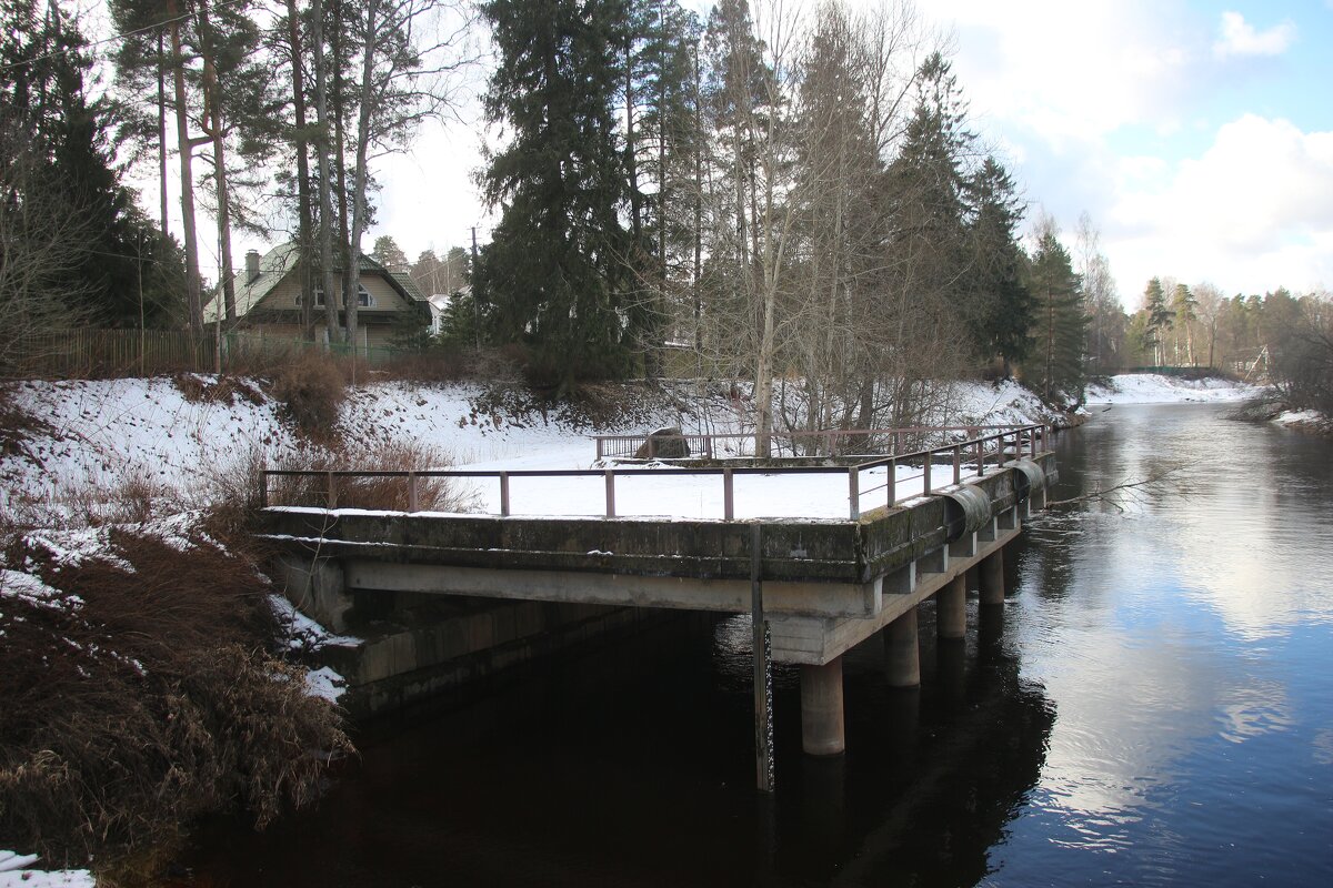 Вырица - Наталья Герасимова