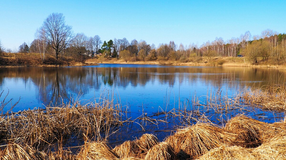 Смоленщина в апреле (репортаж из поездок по области). - Милешкин Владимир Алексеевич Смоленщина в апреле (репортаж из поездок по области). - Милешкин Владимир Алексеевич