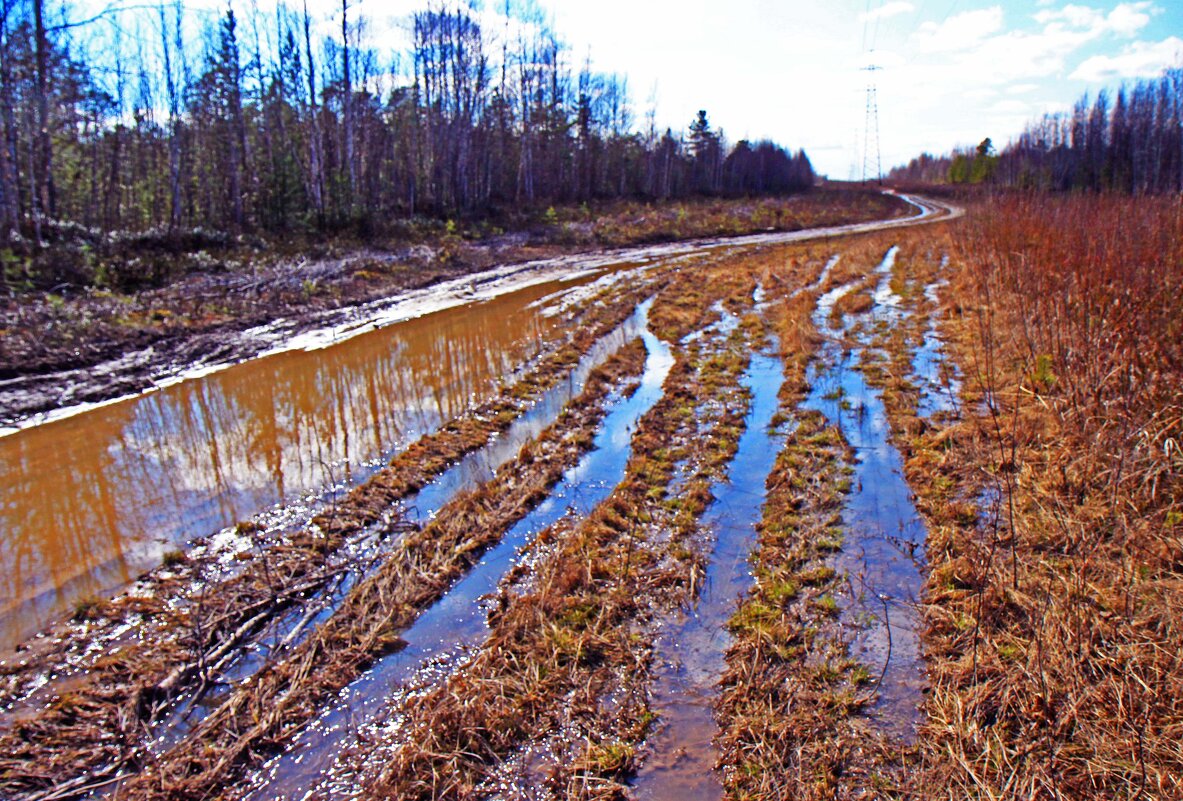 Май...Весенняя распутица! - Владимир 