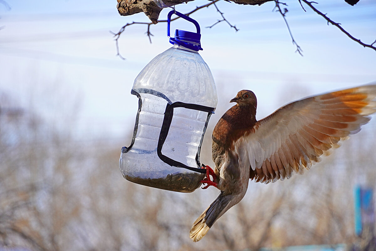 Украдкой - Галина Кан