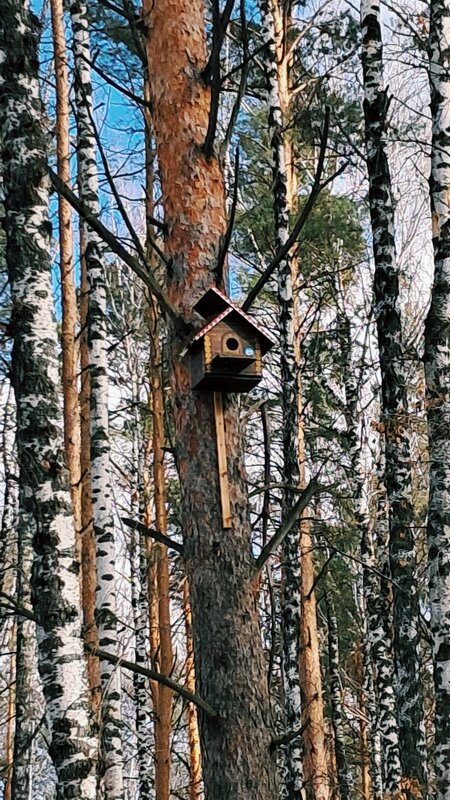 Тюмень - Георгиевич Тюмень - Георгиевич