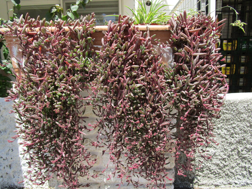 Мармарис июнь Турция - Елена Шаламова Мармарис июнь Турция - Елена Шаламова