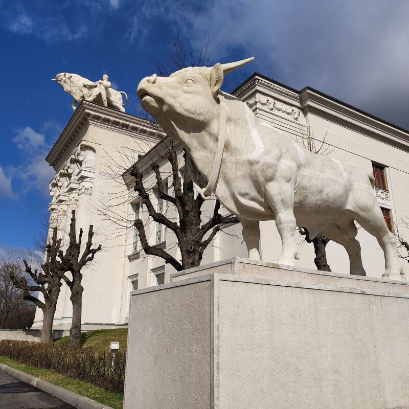 Быки - Елен@Ёлочка К.Е.Т. Быки - Елен@Ёлочка К.Е.Т.