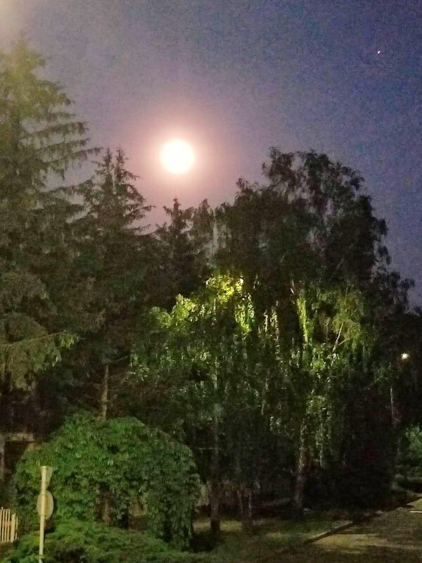 Вечером - Светлана Хращевская Вечером - Светлана Хращевская