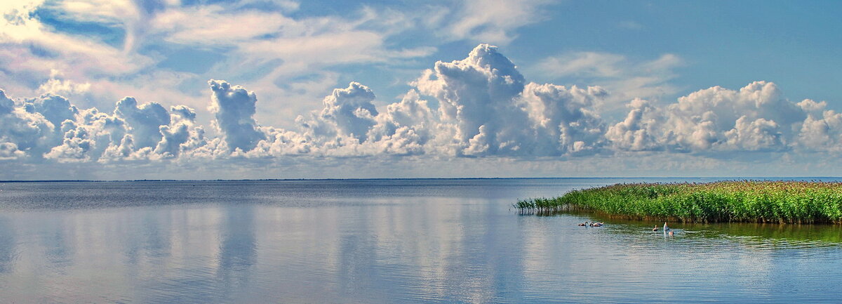 Куршская коса. Балтийское море - Анастасия Смирнова