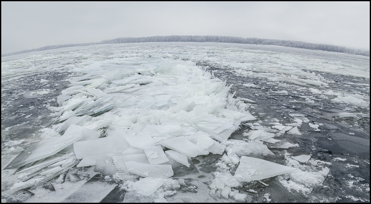 Земля круглая! - Александр Тарноградский