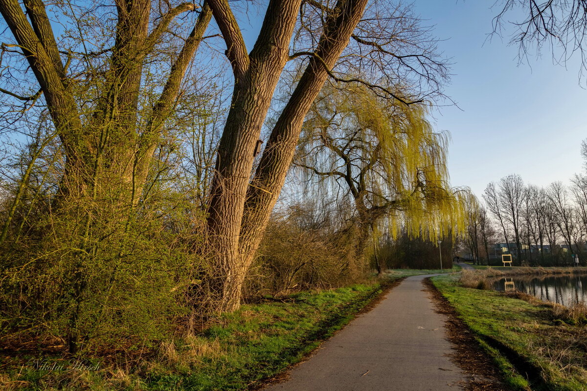 У тополей... - Николай Гирш У тополей... - Николай Гирш