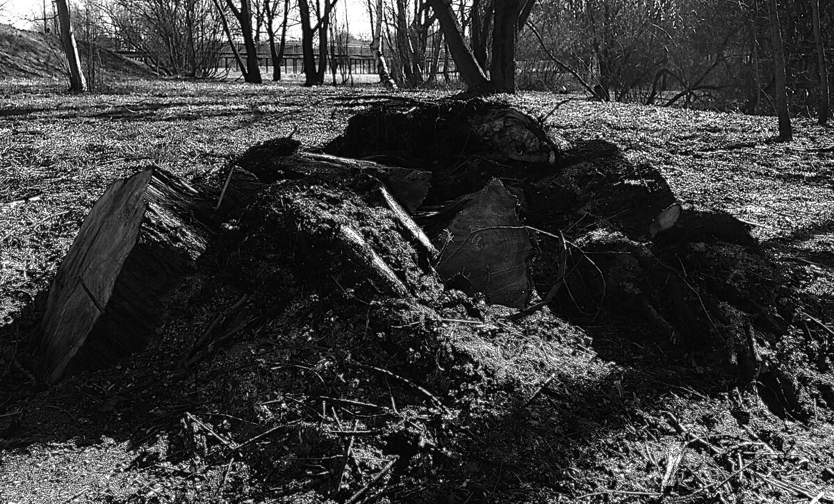 Вот и всё... - Василий Палий Вот и всё... - Василий Палий