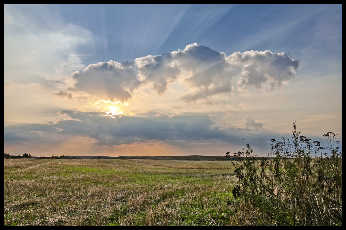Сжатое поле - **** vedin Сжатое поле - **** vedin