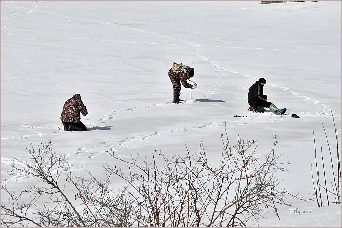 Однажды в апреле... - Aquarius - Сергей Однажды в апреле... - Aquarius - Сергей