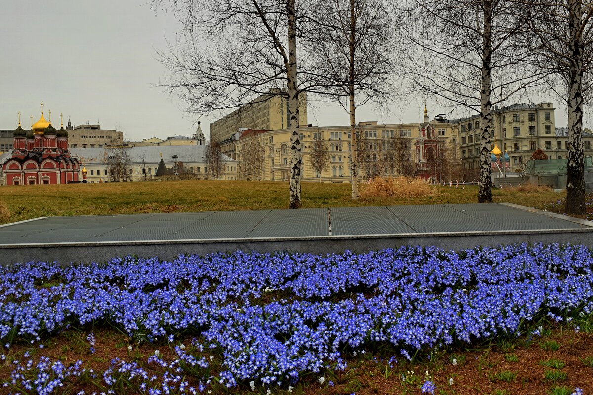 Цветочные поляны в парке "Зарядье" - Татьяна Помогалова