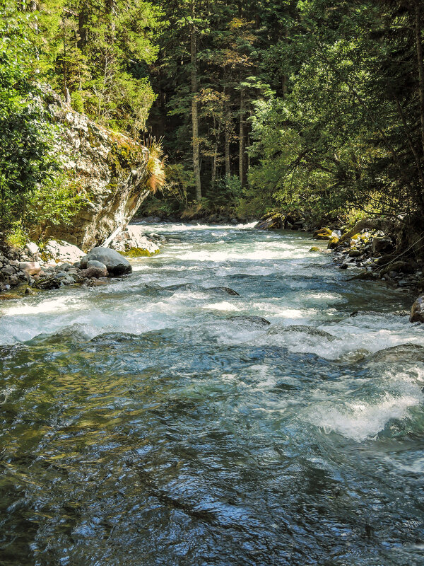 Кавказ. река Малая Лаба - Денис Масленников Кавказ. река Малая Лаба - Денис Масленников