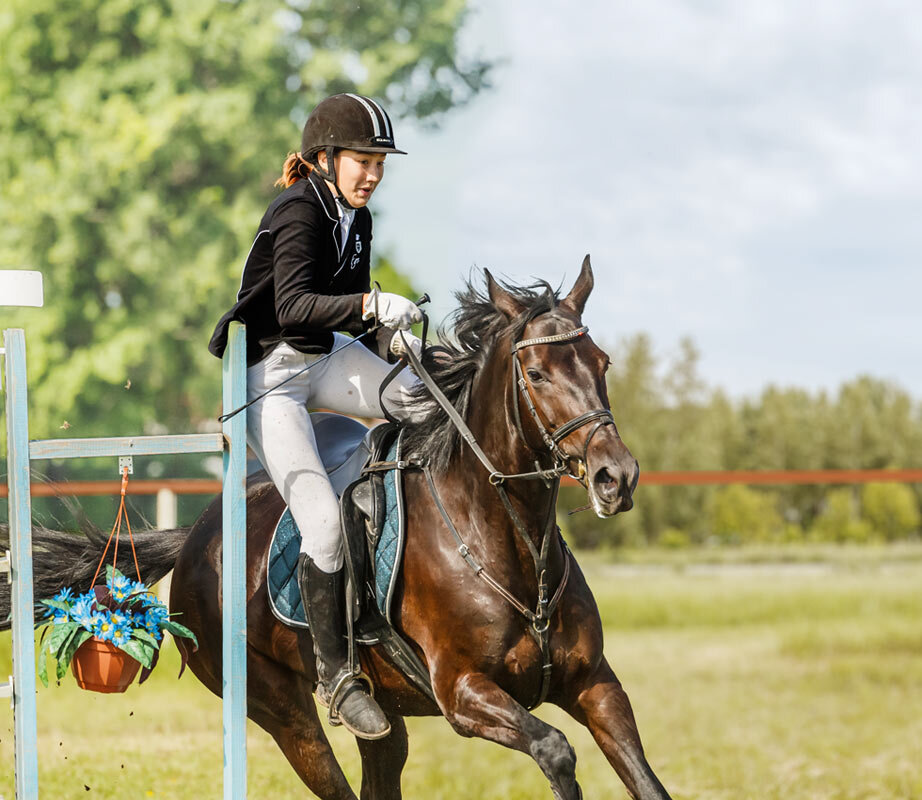 Конкур закидка - SanSan 