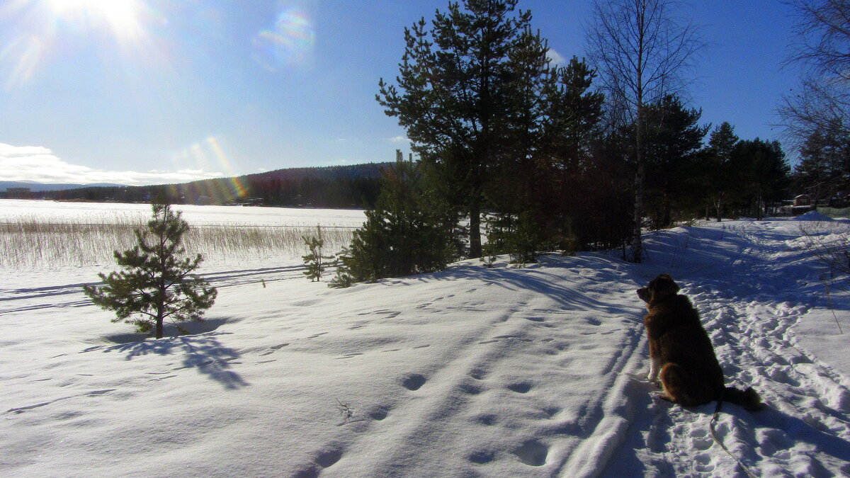 Март. - Галина Полина Март. - Галина Полина