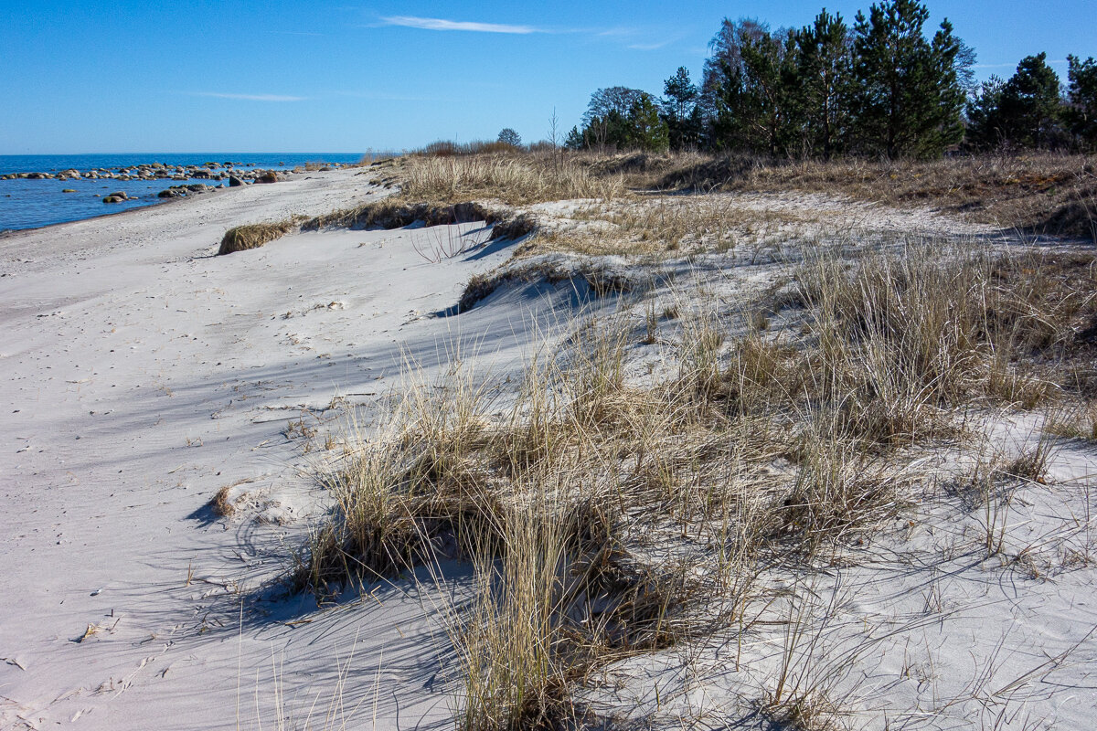 *** - Геннадий Порохов