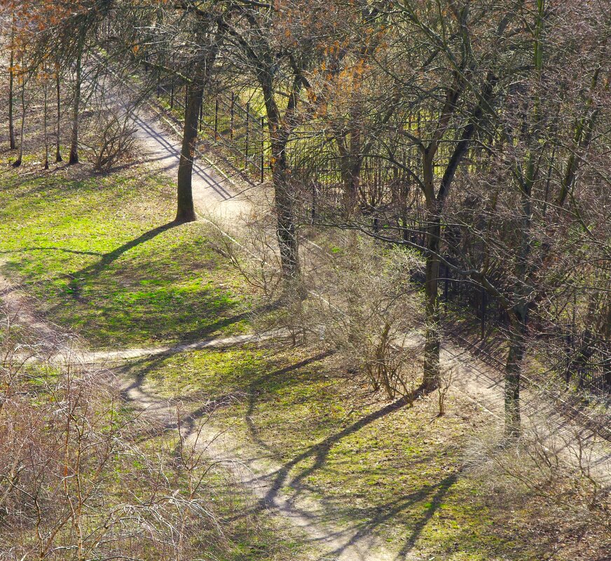 Четыре дерева... - Юрий Куликов Четыре дерева... - Юрий Куликов
